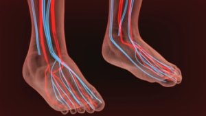 Common Symptoms of Poor Circulation